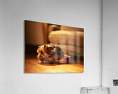 Happy Yorkshire Terrier Puppy Plays With Toy Impression acrylique