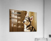 Patient Husky Puppy Guards The Mail Slot Acrylic Print