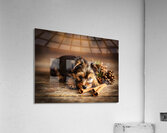 Happy Yorkshire Terrier Puppy With Nature Treasures Impression acrylique