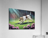 German Shorthaired Pointer Puppy Discovers Night Shadows Impression acrylique