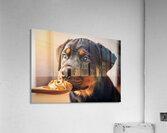 Rottweiler Puppy Discovers Something New Acrylic Print