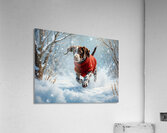 Sleepy Puppy Rests After Snow Adventure In Sweater Impression acrylique