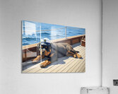 Brave Puppy Navigator Spots Land Ahead Acrylic Print