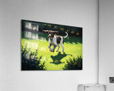 Tired Puppy Rests After Shadow Adventure Acrylic Print