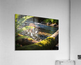 Bulldog Puppy Resting After Big Adventure Impression acrylique