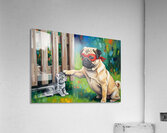 Pug Puppy Superhero Rests After Heroic Day Acrylic Print