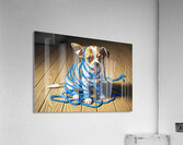 Guilty Chihuahua Puppy With Destroyed Yarn Acrylic Print