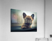Content Pug Puppy Settles Down To Watch Rain Acrylic Print