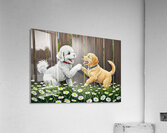 Happy Bichon Frise Puppy Plays With Fence Friend Acrylic Print
