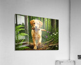 Happy Puppy Rests With Pinecone In Forest Shade Acrylic Print