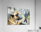 Pug Puppy Sits Proudly After Successful Guard Duty Impression acrylique