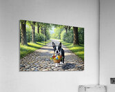 Boston Terrier Puppy With Flower Basket In Garden Acrylic Print