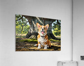 Content Corgi Puppy Dreams Under Tree Shade Impression acrylique