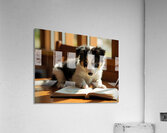 Playful Border Collie Puppy Interacts With Book Pages Impression acrylique