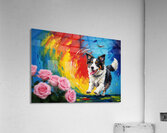 Tired Border Collie Puppy Rests After Exciting Adventure Impression acrylique