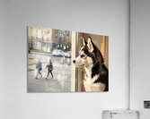Husky Puppy Discovers City Life From Window Perch Acrylic Print