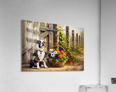 Boston Terrier Puppy Delivers Flowers To Loving Hands Impression acrylique