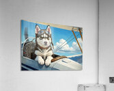 Husky Puppy Dreams Of Sky Adventures Acrylic Print