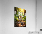 Trust Your Journey Like Adventurous Puppies Acrylic Print