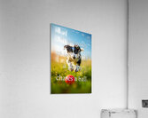 Chase Goals Like This Determined Puppy Impression acrylique