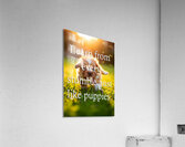 Learn from Stumbles Like Puppies Acrylic Print