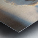 Content White Bichon Frise Puppy Resting After Snow Play Session Impression metal