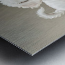 Playful White Bichon Frise Puppy Invites Mirror Reflection To Play Impression metal