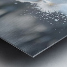 White Bichon Frise Puppy Discovers Fresh Snow In Winter Yard Impression metal