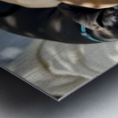 Sleepy Brown Dachshund Puppy Cuddling With Tired Siblings Impression metal