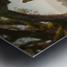 German Shepherd Puppy Resting Watches Butterfly Metal print