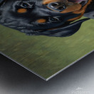 Exhausted Rottweiler Puppy Rests After Fun Playtime Impression metal