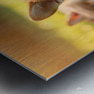 Tired Pembroke Welsh Corgi Puppy Resting After Playing With Siblings Impression metal