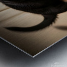 German Shepherd Puppy Ready For Breakfast Time Metal print