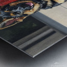 Clean German Shepherd Puppy After Successful Car Wash Metal print