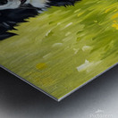 Happy Border Collie Puppy After Dandelion Discovery Metal print