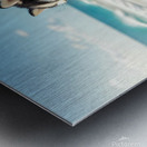 Siberian Husky Puppy Discovers Sandy Beach Fun Metal print