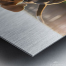 Beagle Puppys Energetic Ball Chase Adventure Impression metal