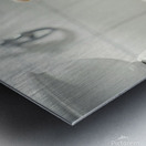 Pomeranian Puppy Discovers Toilet Paper Roll Impression metal