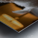 Poodle Puppy Discovers Rainy Day Adventure Metal print