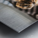 German Shepherd Puppy Waking Up From Nap Metal print