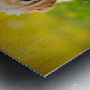 Golden Puppy Discovers The Perfect Stretch Position Impression metal