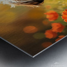 Happy Shih Tzu Puppy Rests After First Adventure Metal print