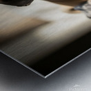 Sleepy Pug Puppy After Car Adventure Metal print