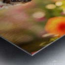 Shih Tzu Puppy Sits Proudly Wearing Flower Crown Impression metal