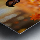 Boston Terrier Puppy Discovers Autumn Leaf Pile Impression metal