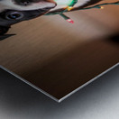 Boston Terrier Puppy Discovers Sparkling Christmas Lights Impression metal