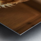 Excited Pomeranian Puppy Celebrates Full Food Bowl Impression metal