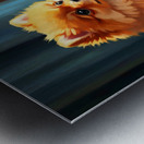Pomeranian Puppy Discovers New Friend Metal print
