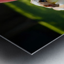 Bulldog Puppy Discovers Giant Red Ball Metal print