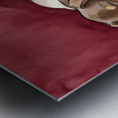 Dachshund Puppy Naps With New Friends Metal print